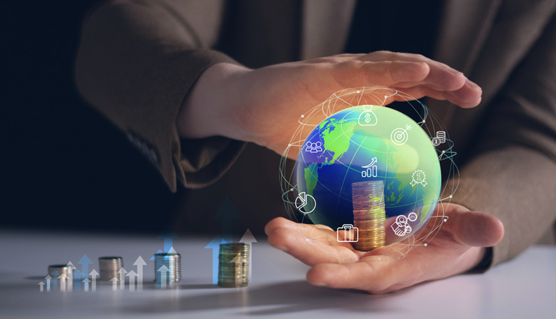 Foreign Portfolio Investors